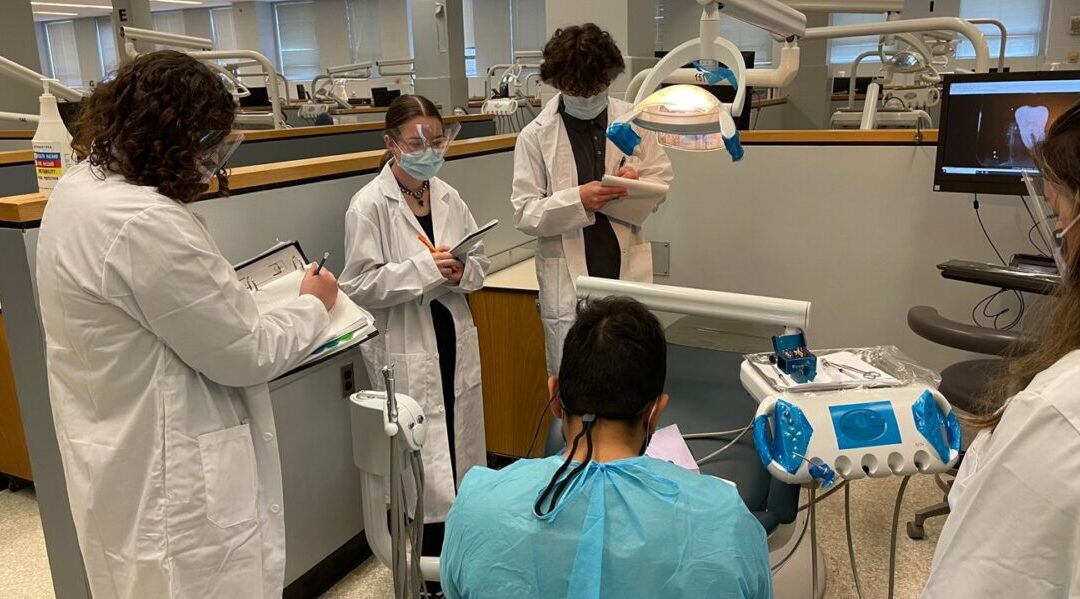 Health Unit Encourages Families To Access Free Or Low-Cost Dental Care